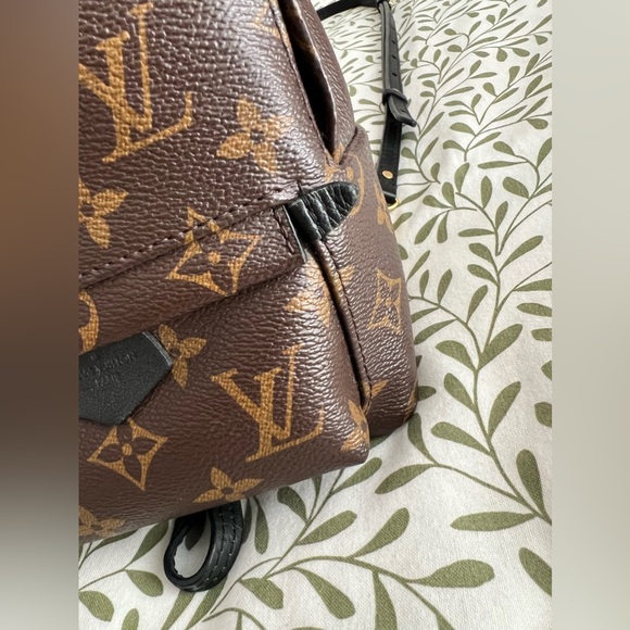 Louis Vuitton Palm Springs Mini - Picture 5 of 12